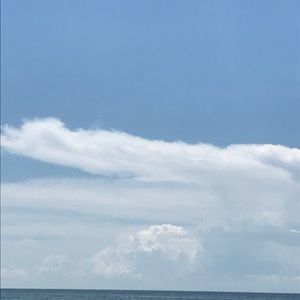 Meet your Posher, Brittney